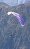 paraglider